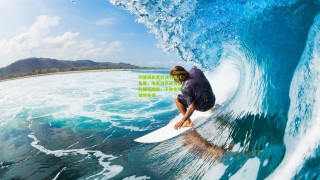 羽量级新星对决引爆八角笼，埃夫洛耶夫与皮科狭路相逢，不败金身或将告破