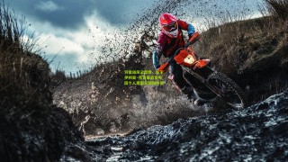 羽量级风云暂歇，新王伊利亚·托普里亚宣布因个人原因无限期休赛