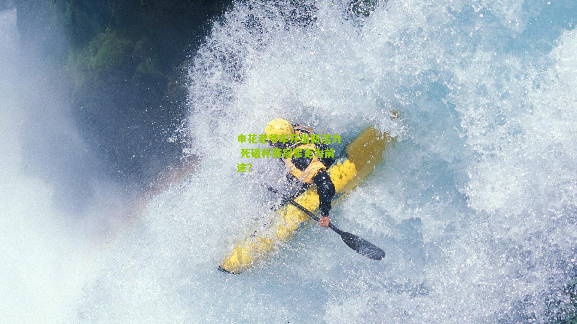 申花老爷车开出新活力 死磕杯赛冠军更为前途？